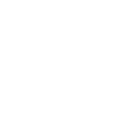 /white/png/256/plane.png