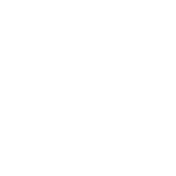 /white/png/256/print.png