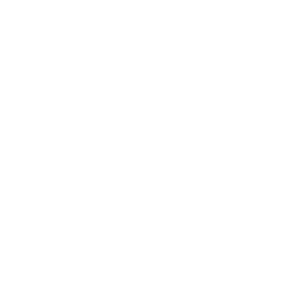 /white/png/256/product-hunt.png