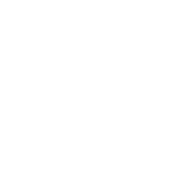/white/png/256/renren.png