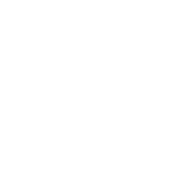 /white/png/256/reply-all.png
