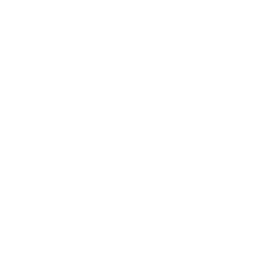 /white/png/256/rss-square.png