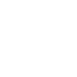 /white/png/256/rub.png