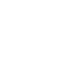 /white/png/256/share-square.png
