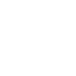 /white/png/256/share.png