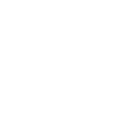 /white/png/256/shield.png