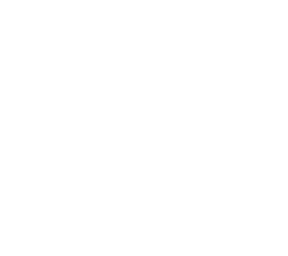 /white/png/256/shopping-basket.png