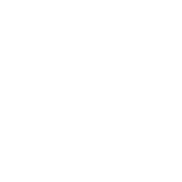 /white/png/256/sign-in.png