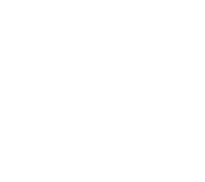 /white/png/256/simplybuilt.png