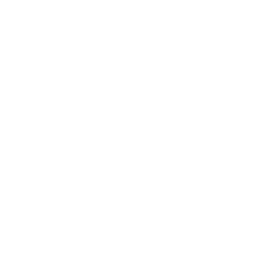 /white/png/256/skype.png