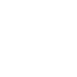 /white/png/256/spoon.png