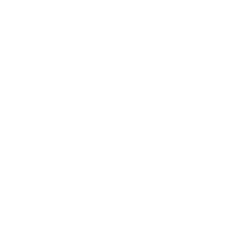 /white/png/256/spotify.png