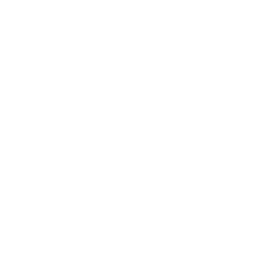 /white/png/256/step-forward.png
