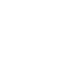 /white/png/256/strikethrough.png