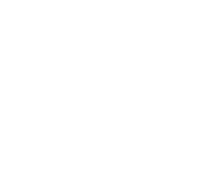 /white/png/256/stumbleupon.png