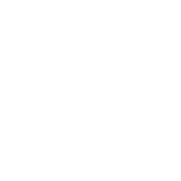 /white/png/256/subway.png