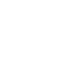/white/png/256/sun-o.png