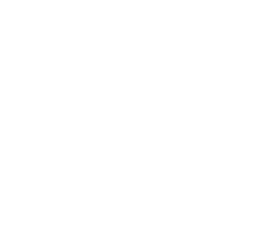 /white/png/256/tags.png