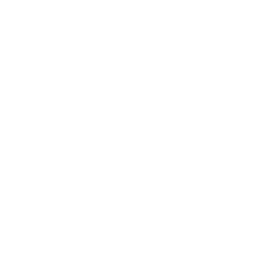 /white/png/256/themeisle.png