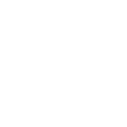 /white/png/256/thermometer-1.png