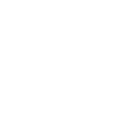 /white/png/256/thermometer-2.png