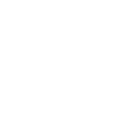 /white/png/256/ticket.png