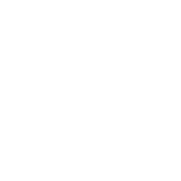 /white/png/256/tint.png
