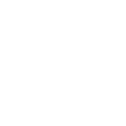 /white/png/256/try.png