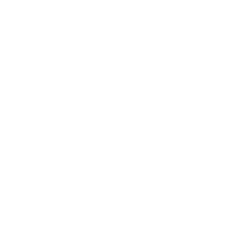 /white/png/256/tumblr.png