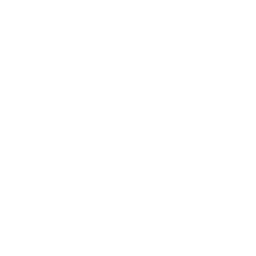 /white/png/256/twitch.png