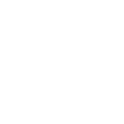 /white/png/256/undo.png