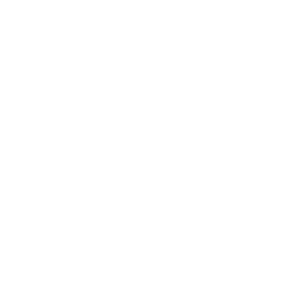 /white/png/256/universal-access.png