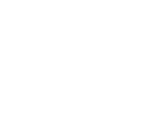 /white/png/256/vcard-o.png