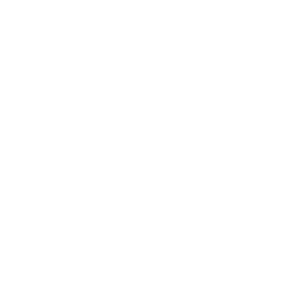 /white/png/256/viadeo-square.png