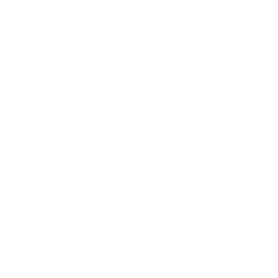 /white/png/256/vine.png