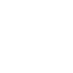 /white/png/256/volume-down.png