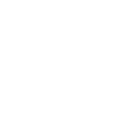 /white/png/256/warning.png