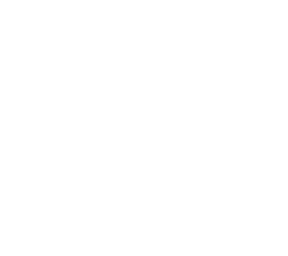 /white/png/256/wifi.png