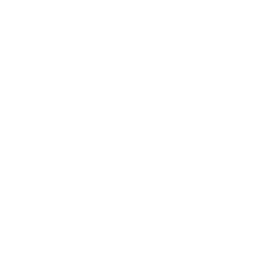 /white/png/256/windows.png