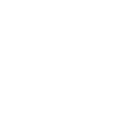 /white/png/256/wpexplorer.png