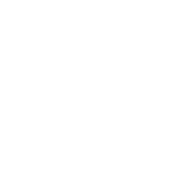 /white/png/256/yen.png