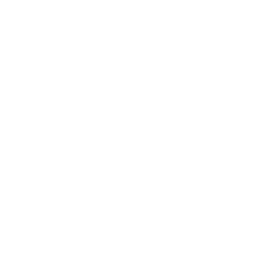 /white/png/256/yoast.png