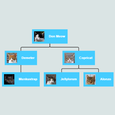 /assets/images/screenshots/learn.png