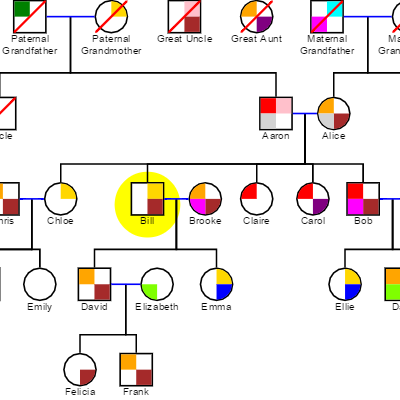 /assets/images/screenshots/genogram.png