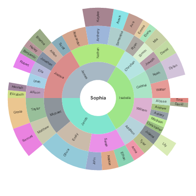 /assets/images/screenshots/radialPartition.png