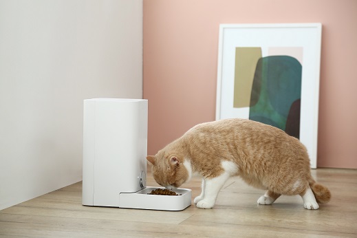 /images/petkit-feeder-mini.jpg