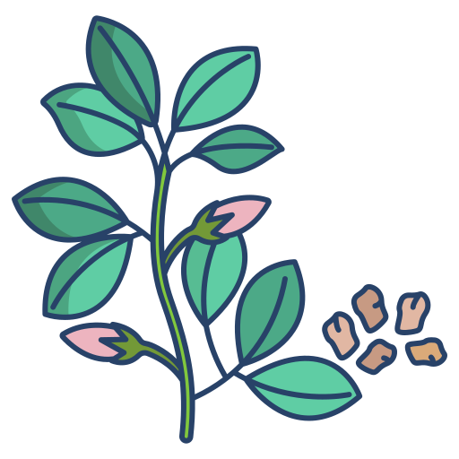 /assets/cards/dill.png