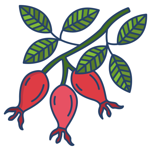 /assets/cards/rosehip.png
