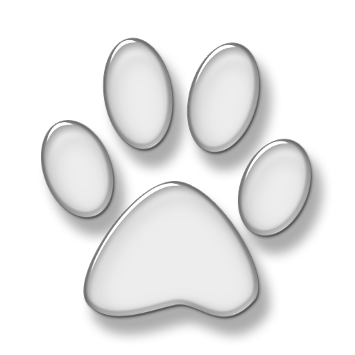GlassCat Application Server