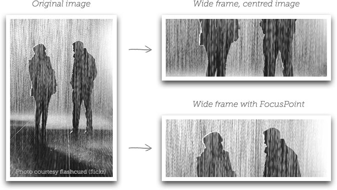 /demos/img/demo.jpg